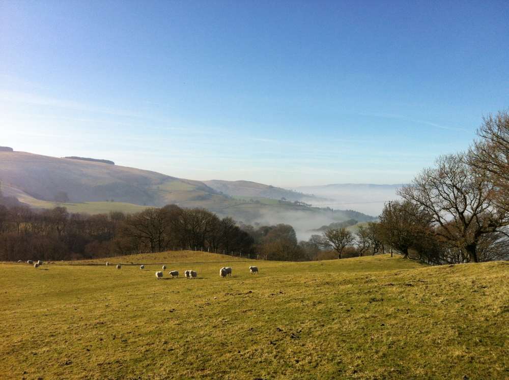 Hill behind Hafod.